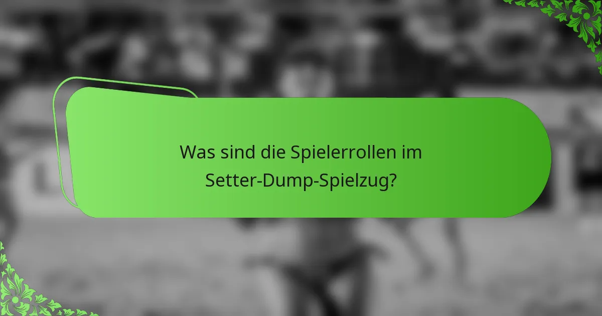 Was sind die Spielerrollen im Setter-Dump-Spielzug?