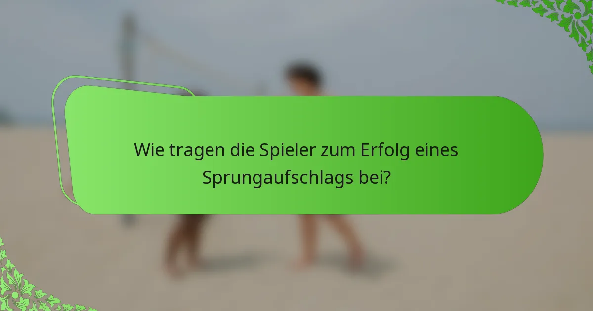 Wie tragen die Spieler zum Erfolg eines Sprungaufschlags bei?