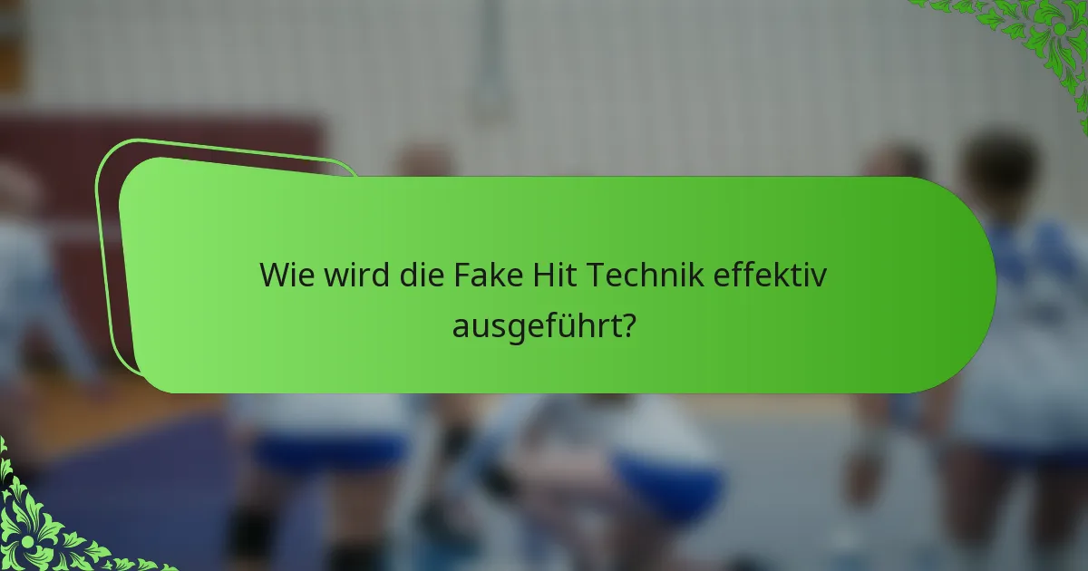 Wie wird die Fake Hit Technik effektiv ausgeführt?